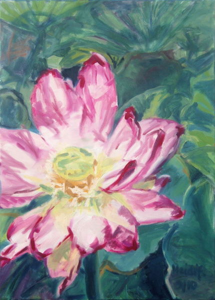 Flor de Loto  2010